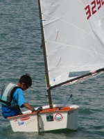 SIN 3296